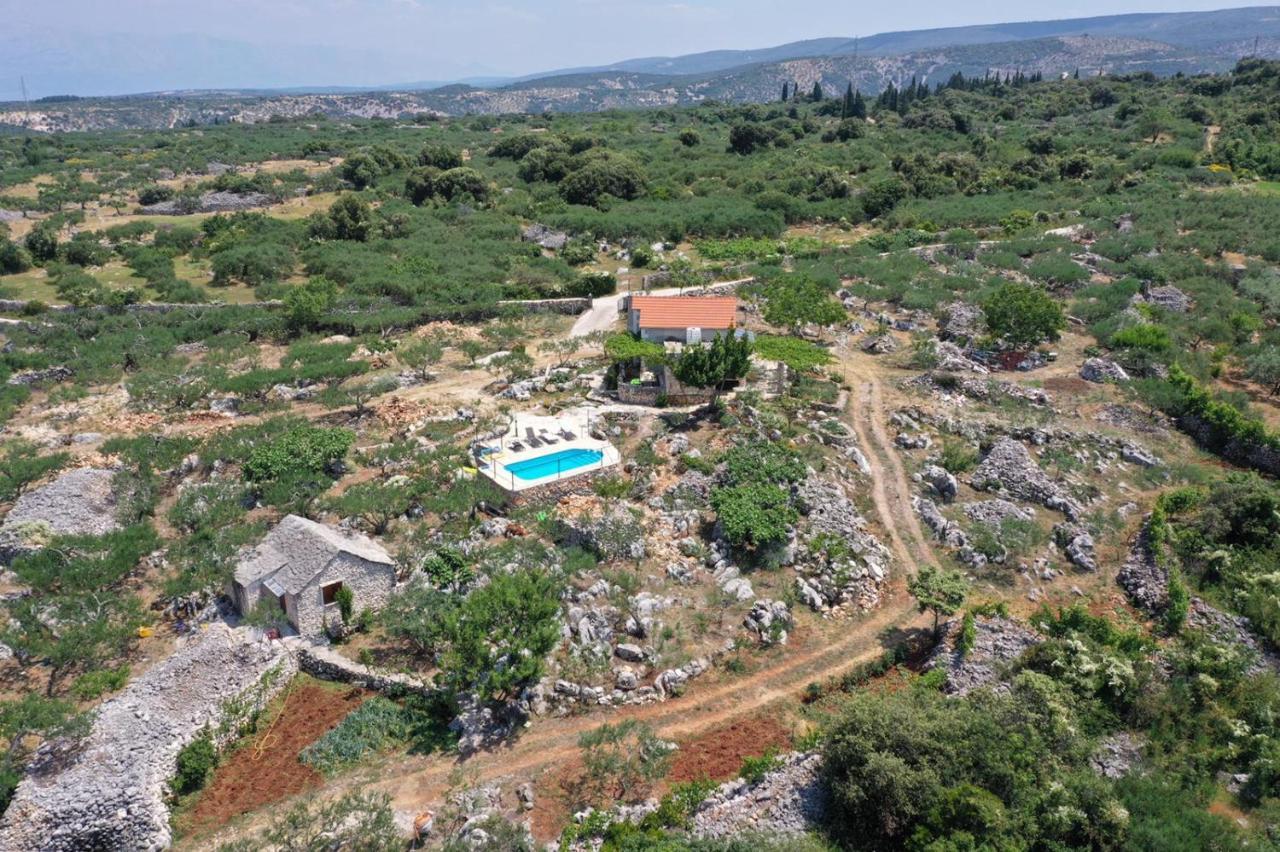 Škrip Robinson Crusoe Style House "Maslina"ヴィラ エクステリア 写真