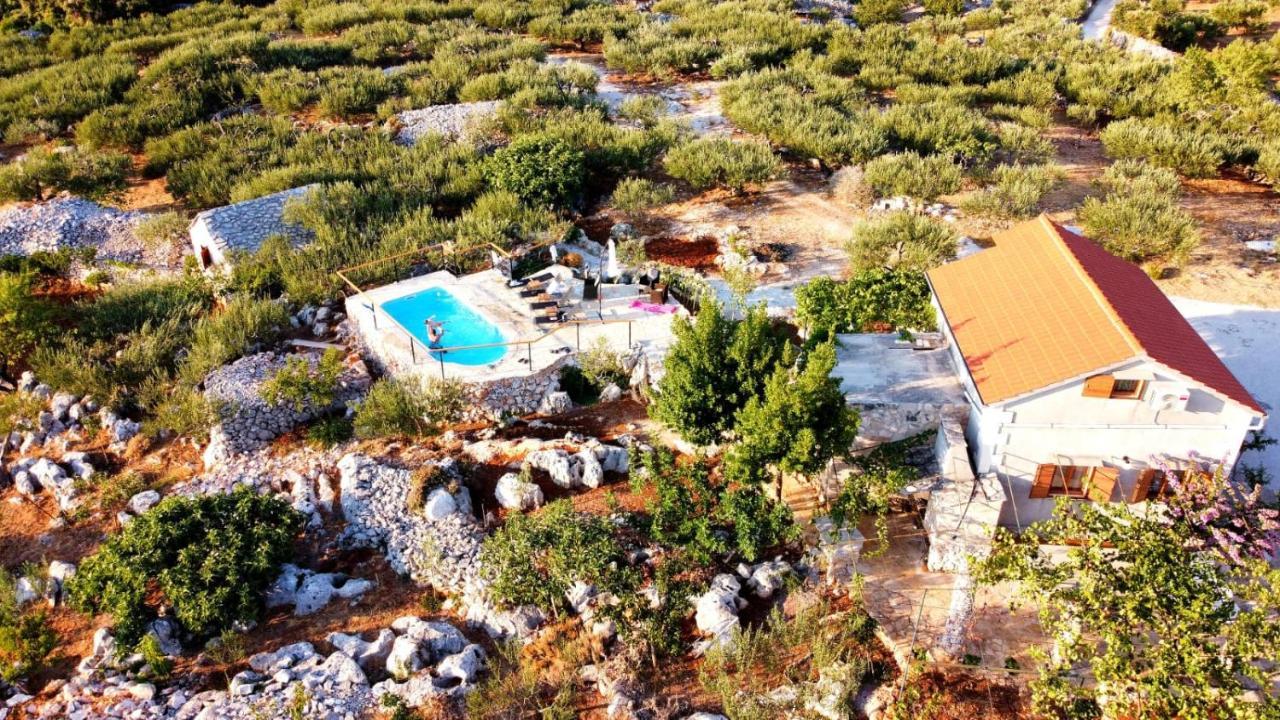 Škrip Robinson Crusoe Style House "Maslina"ヴィラ エクステリア 写真